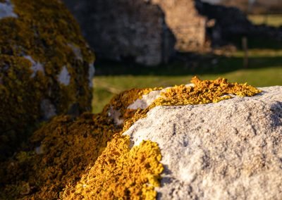 Wall near Llantwit Major
